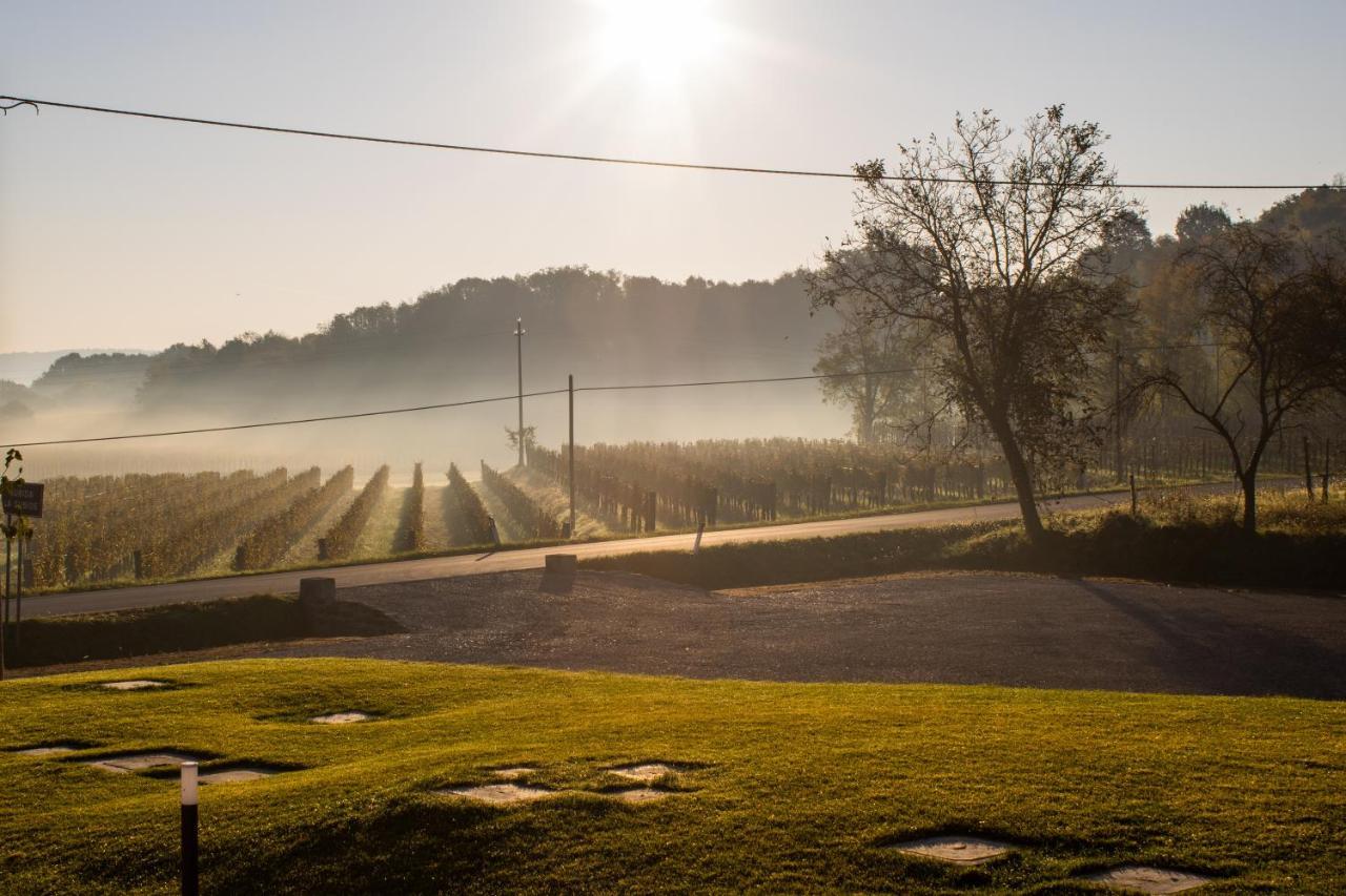 Cruna Di Subida Wine Country House コルモンス エクステリア 写真