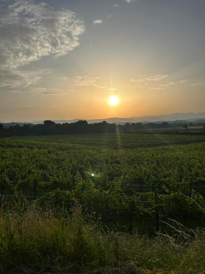 Cruna Di Subida Wine Country House コルモンス エクステリア 写真