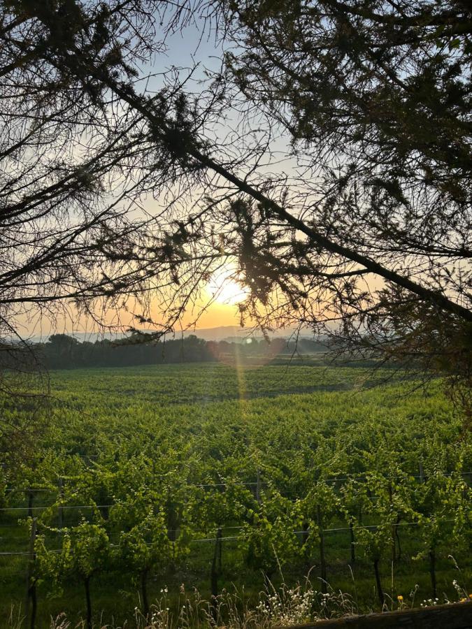 Cruna Di Subida Wine Country House コルモンス エクステリア 写真