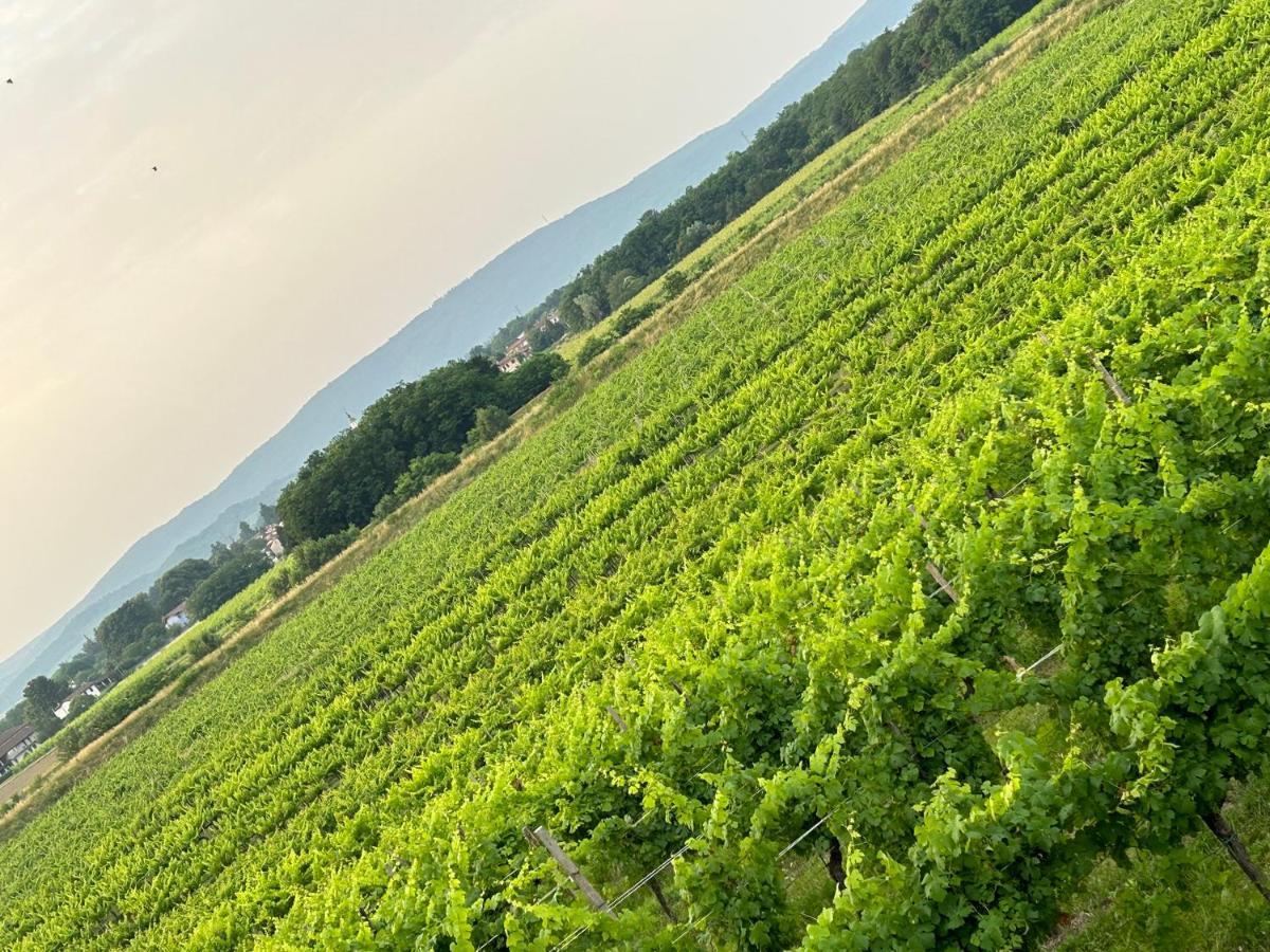 Cruna Di Subida Wine Country House コルモンス エクステリア 写真