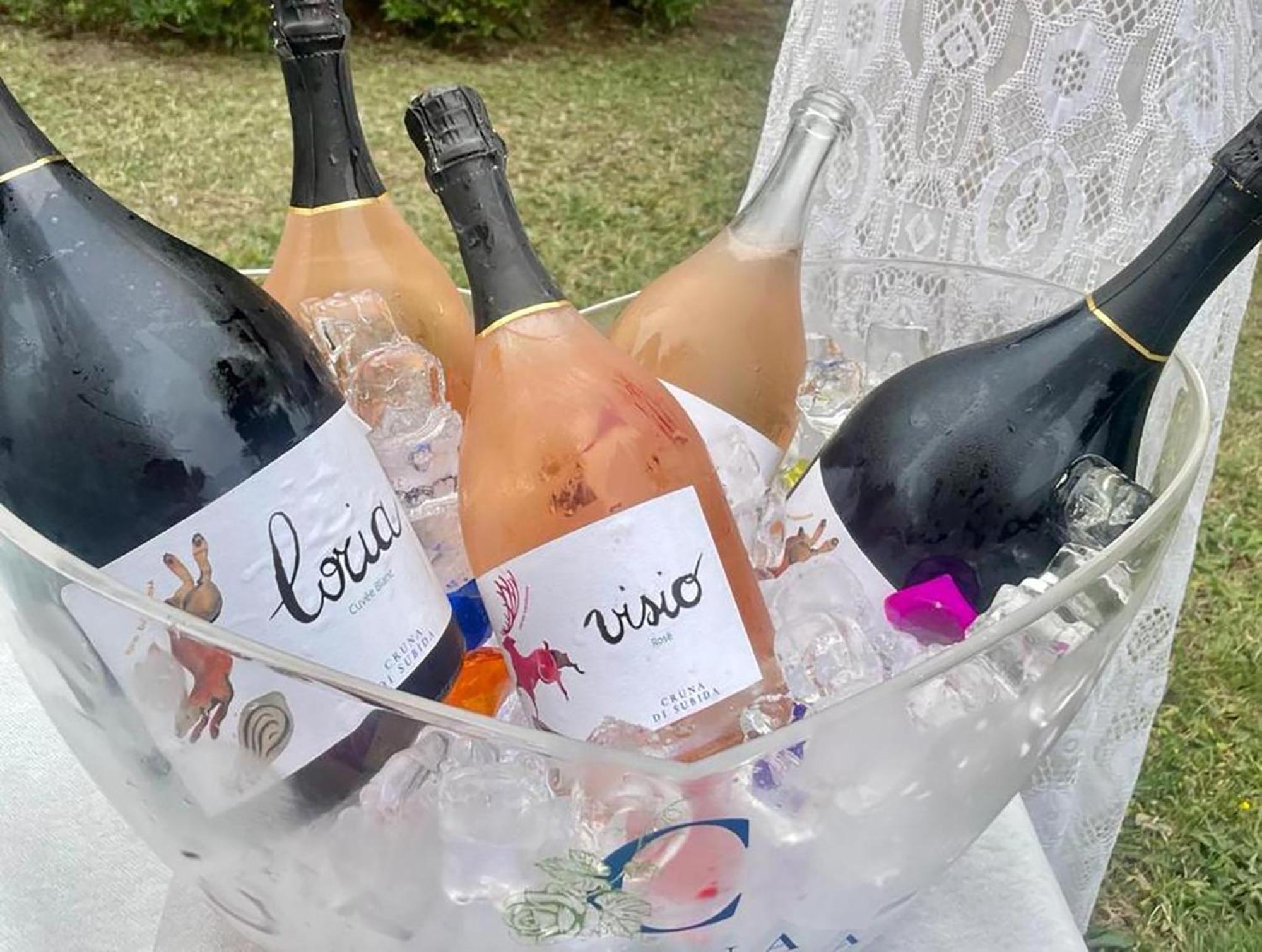 Cruna Di Subida Wine Country House コルモンス エクステリア 写真